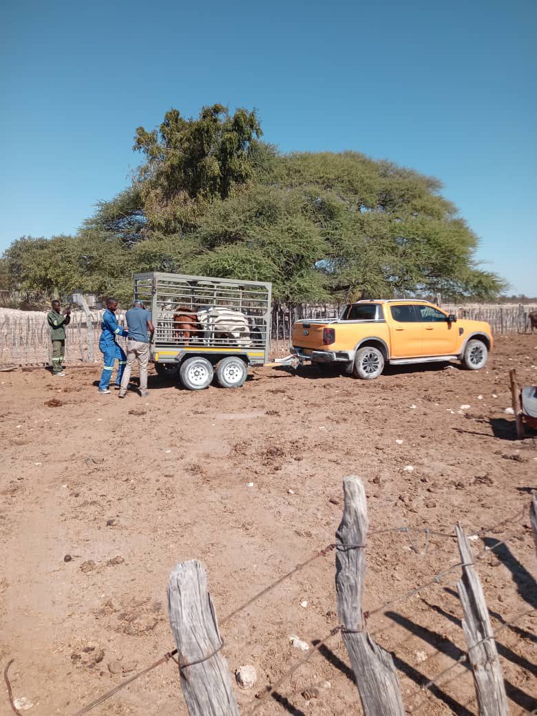 WhatsApp Image 2025-08-03 at 13.37.25