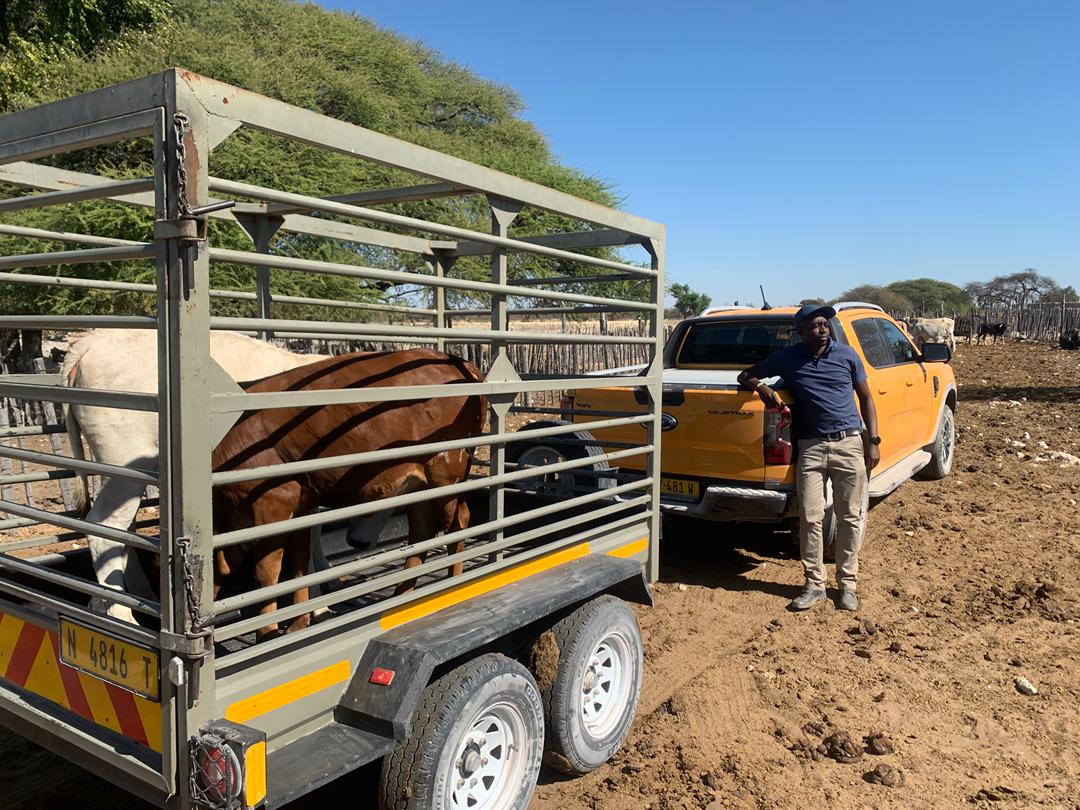 WhatsApp Image 2025-08-03 at 13.37.45